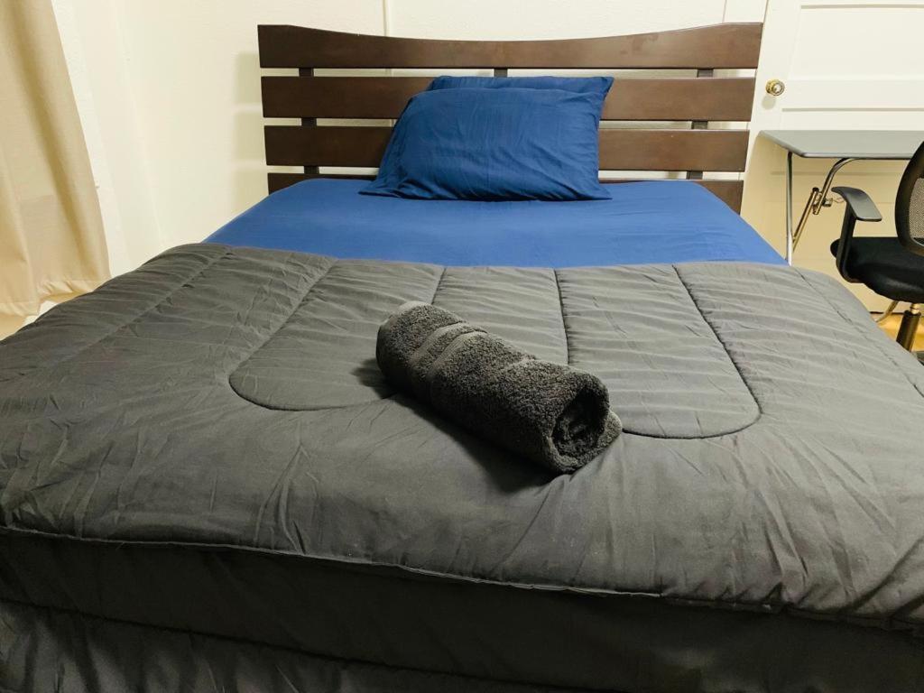 San Francisco Zen Home المظهر الخارجي الصورة